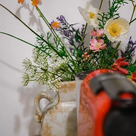 דירה Studio5, Sa Parkingom, Centar Obrenovca *